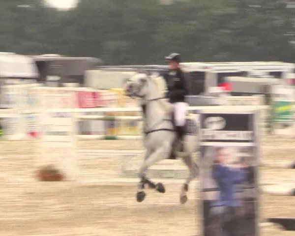 Reitturnier Melle-Ostenfelde 2017