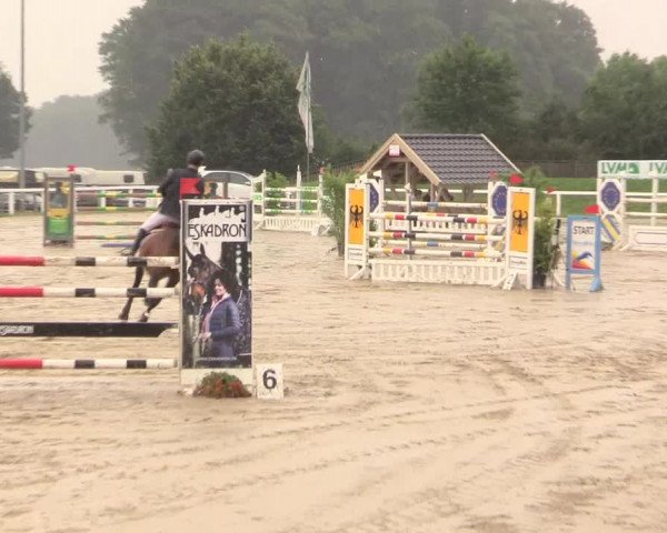 Reitturnier Melle-Ostenfelde 2017