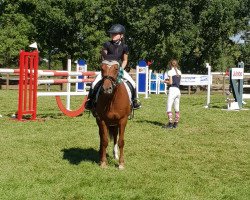 dressage horse Henriette Pcm (KWPN (Royal Dutch Sporthorse), 2012)
