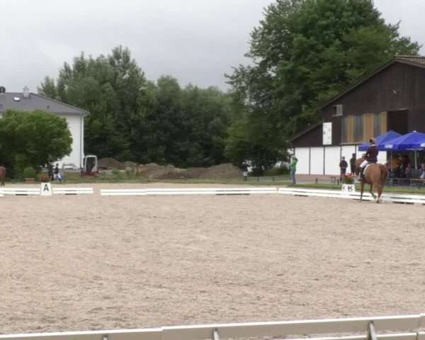 Reitturnier Ingolstadt-Hagau 2017