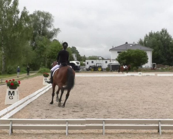 Reitturnier Ingolstadt-Hagau 2017