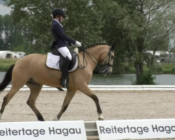 Reitturnier Ingolstadt-Hagau 2017