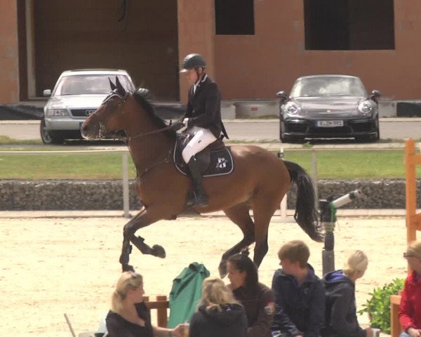 Reitturnier Ingolstadt-Hagau 2017