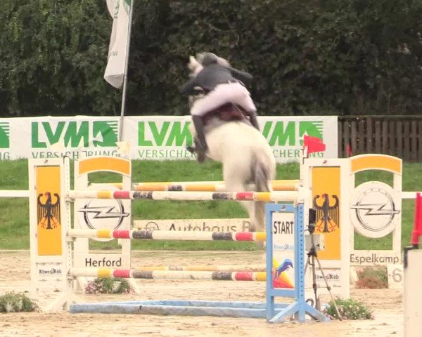 Reitturnier Melle-Ostenfelde 2017