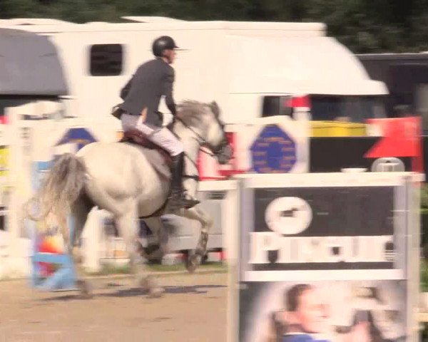 Reitturnier Melle-Ostenfelde 2017