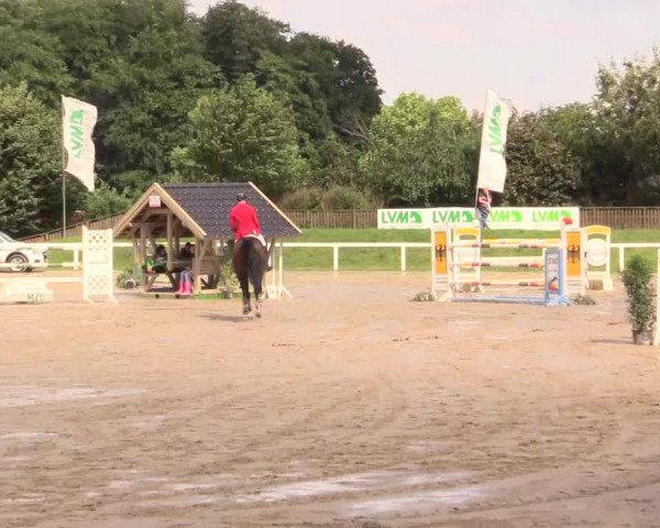 Reitturnier Melle-Ostenfelde 2017