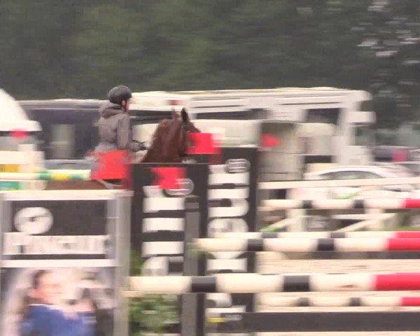Reitturnier Melle-Ostenfelde 2017