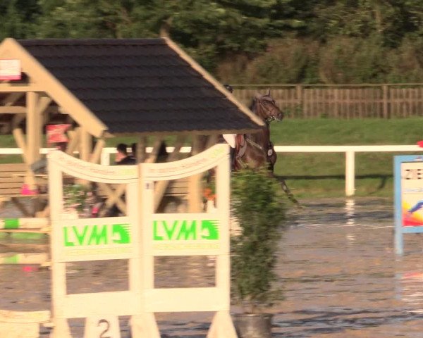 Reitturnier Melle-Ostenfelde 2017