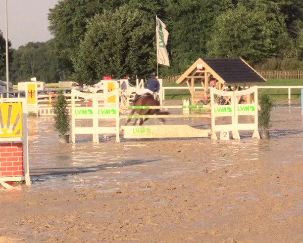 Reitturnier Melle-Ostenfelde 2017