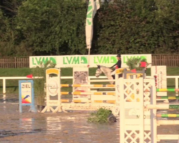 Reitturnier Melle-Ostenfelde 2017