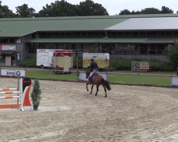 Reitturnier Coesfeld/Lette 2017