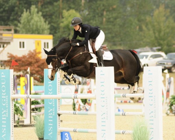 jumper Amy 281 (Westphalian, 2010, from Argent)