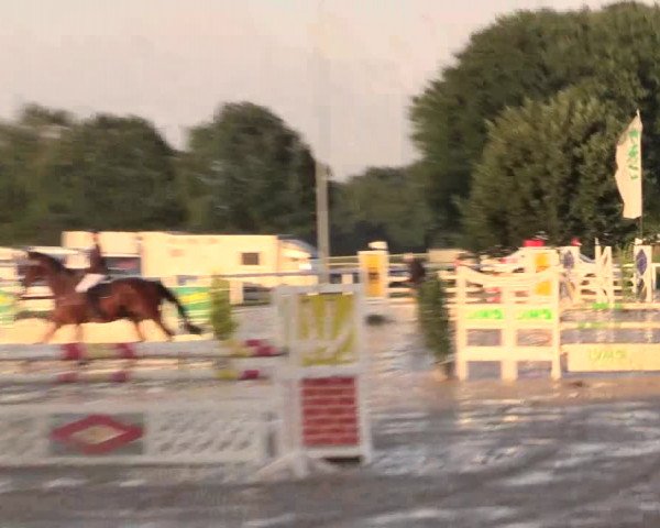 Reitturnier Melle-Ostenfelde 2017
