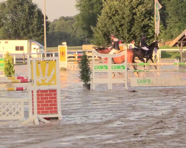 Reitturnier Melle-Ostenfelde 2017