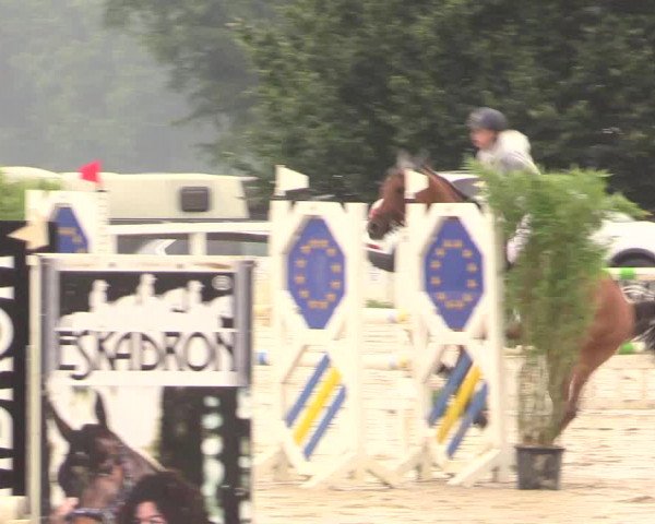 Reitturnier Melle-Ostenfelde 2017