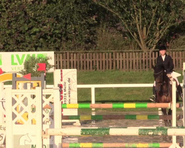 Reitturnier Melle-Ostenfelde 2017