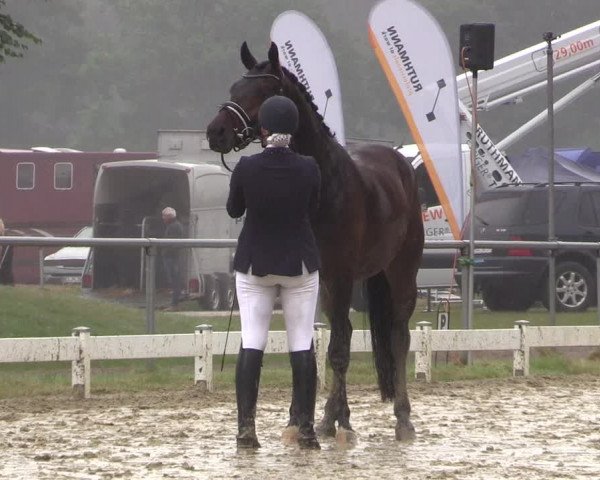 Reitturnier Coesfeld/Lette 2017