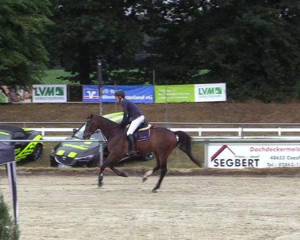 Reitturnier Coesfeld/Lette 2017