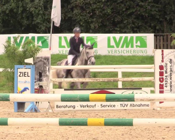 Reitturnier Melle-Ostenfelde 2017