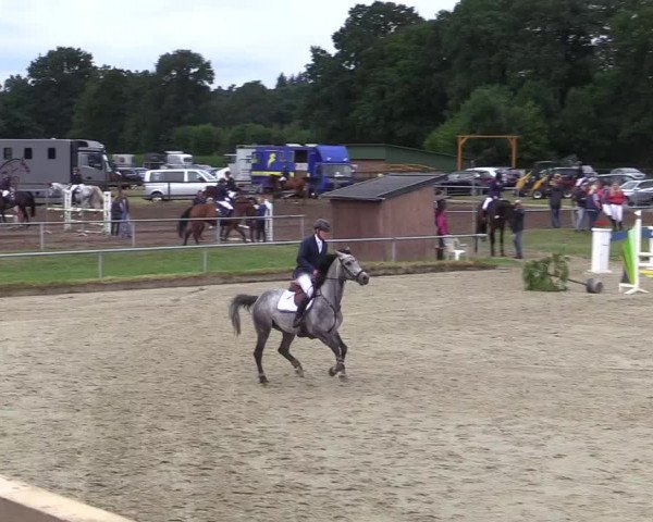 Reitturnier Coesfeld/Lette 2017