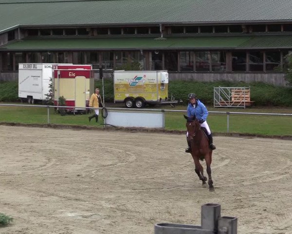 Reitturnier Coesfeld/Lette 2017