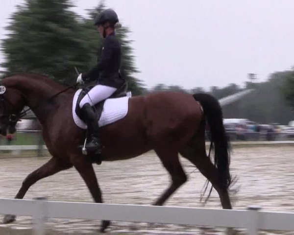Reitturnier Coesfeld/Lette 2017