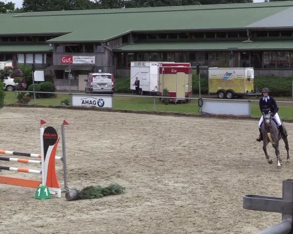 Reitturnier Coesfeld/Lette 2017