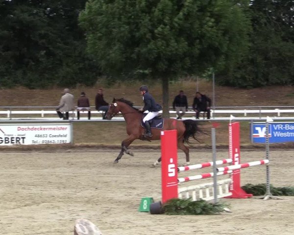 Reitturnier Coesfeld/Lette 2017