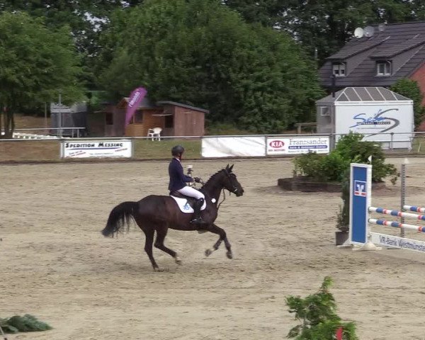 Reitturnier Coesfeld/Lette 2017