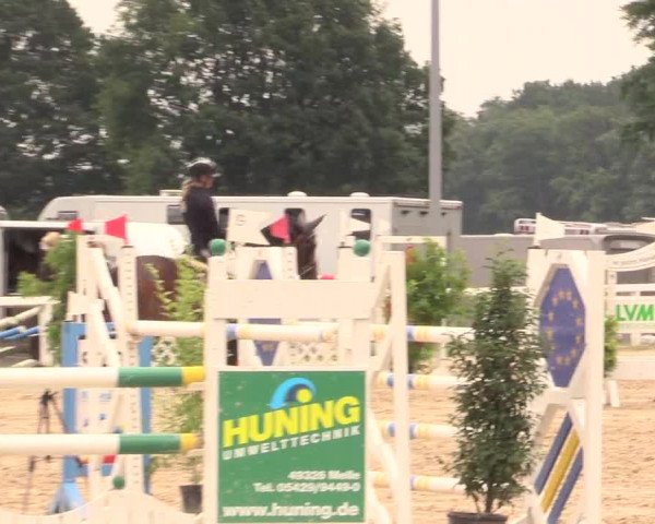 Reitturnier Melle-Ostenfelde 2017