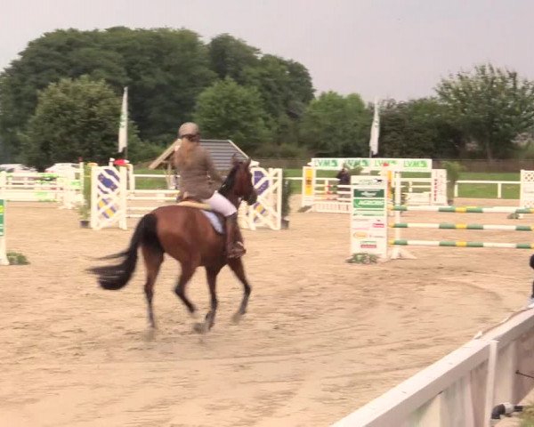 Reitturnier Melle-Ostenfelde 2017