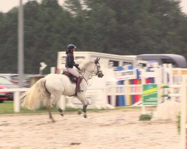Reitturnier Melle-Ostenfelde 2017