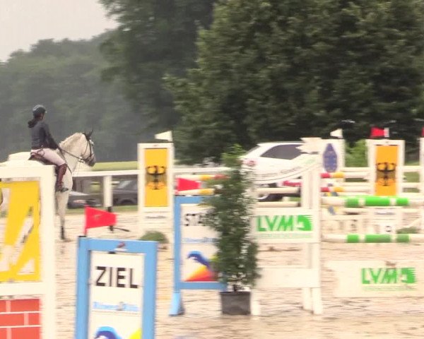 Reitturnier Melle-Ostenfelde 2017