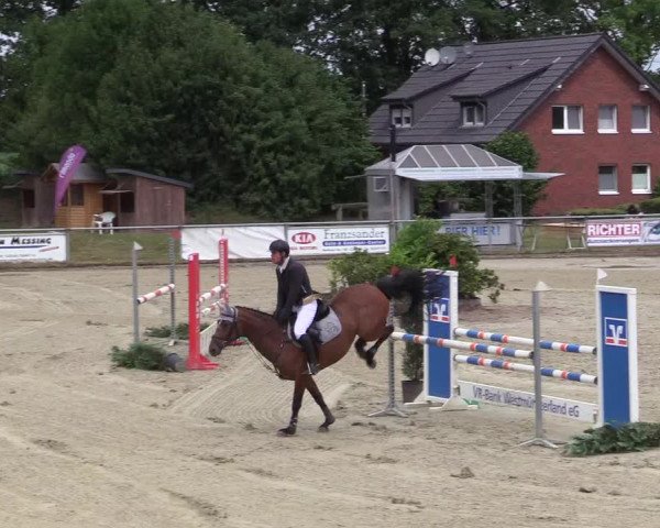Reitturnier Coesfeld/Lette 2017