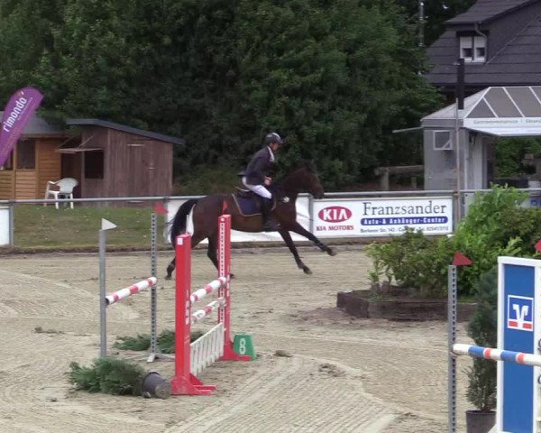 Reitturnier Coesfeld/Lette 2017