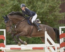 jumper Frere de Reve (KWPN (Royal Dutch Sporthorse), 2010, from Nabab de Rêve)