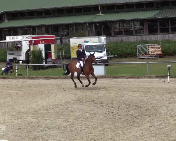 Reitturnier Coesfeld/Lette 2017
