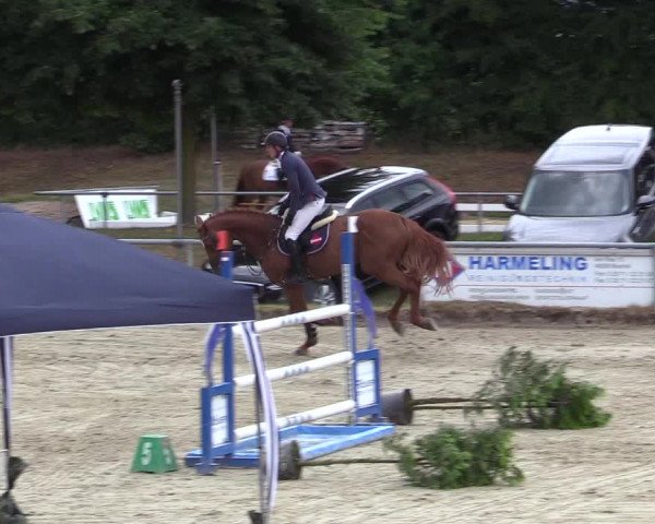 Reitturnier Coesfeld/Lette 2017