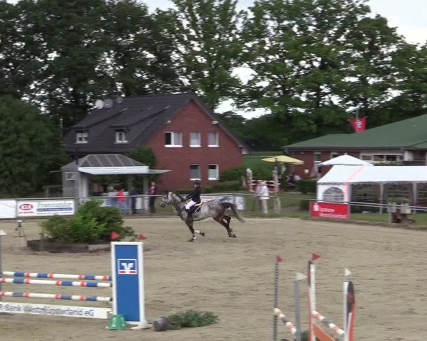 Reitturnier Coesfeld/Lette 2017