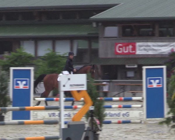 Reitturnier Coesfeld/Lette 2017