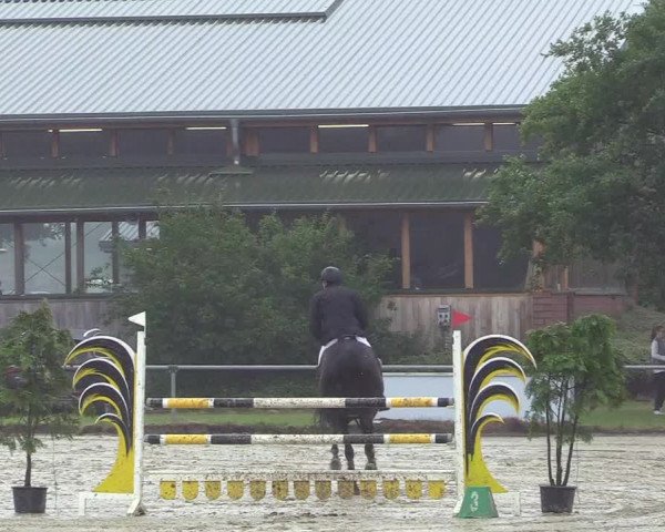 Reitturnier Coesfeld/Lette 2017