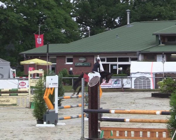 Reitturnier Coesfeld/Lette 2017
