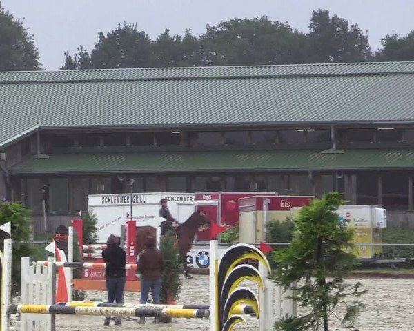 Reitturnier Coesfeld/Lette 2017