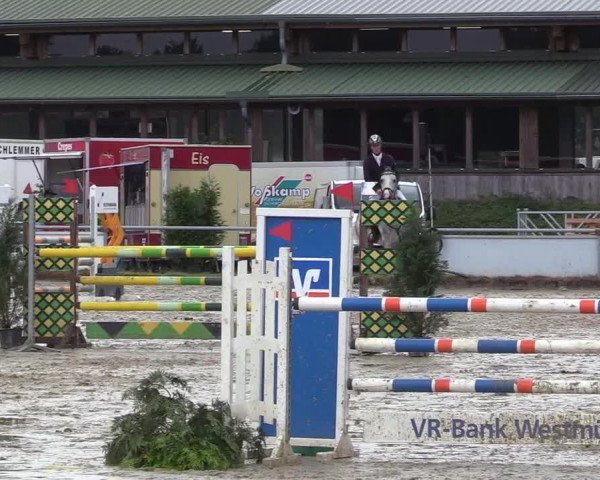 Reitturnier Coesfeld/Lette 2017