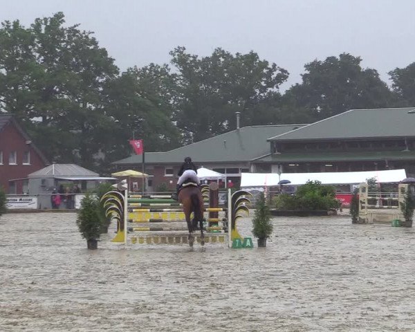 Reitturnier Coesfeld/Lette 2017