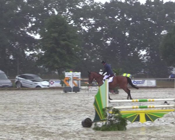 Reitturnier Coesfeld/Lette 2017
