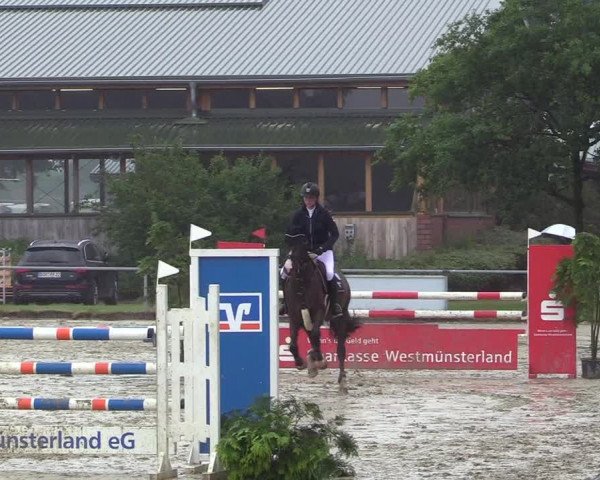 Reitturnier Coesfeld/Lette 2017