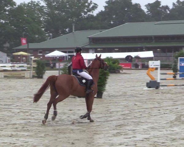 Reitturnier Coesfeld/Lette 2017