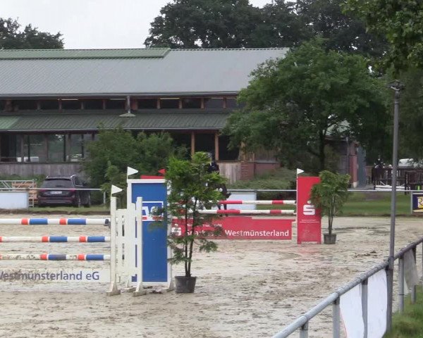 Reitturnier Coesfeld/Lette 2017