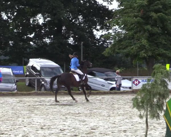 Reitturnier Coesfeld/Lette 2017